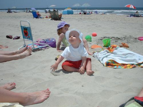 Atticus eating the beach.jpg 30.9K
